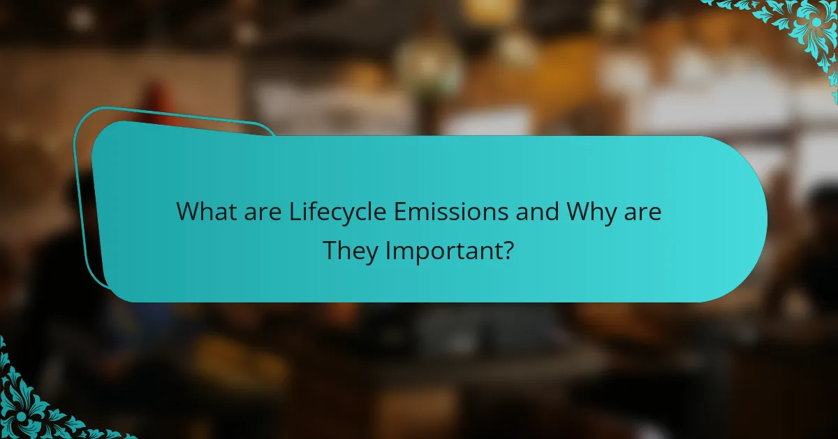 What are Lifecycle Emissions and Why are They Important?
