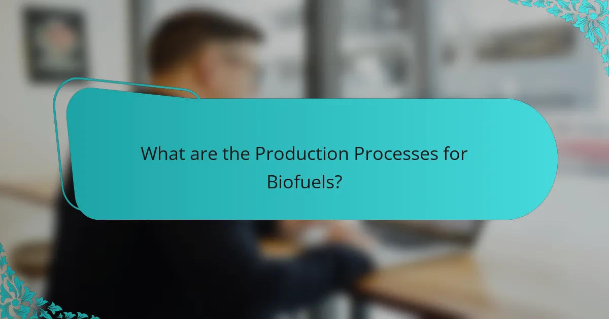 What are the Production Processes for Biofuels?