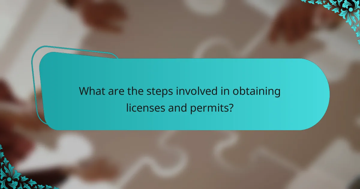 What are the steps involved in obtaining licenses and permits?